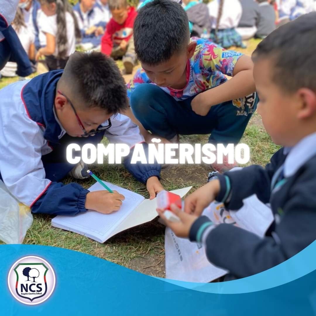 Imagen de WhatsApp 2024-03-21 a las 19.22.18_9eb87a8c